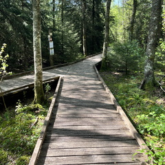 23-05-27 10-38-06 5717